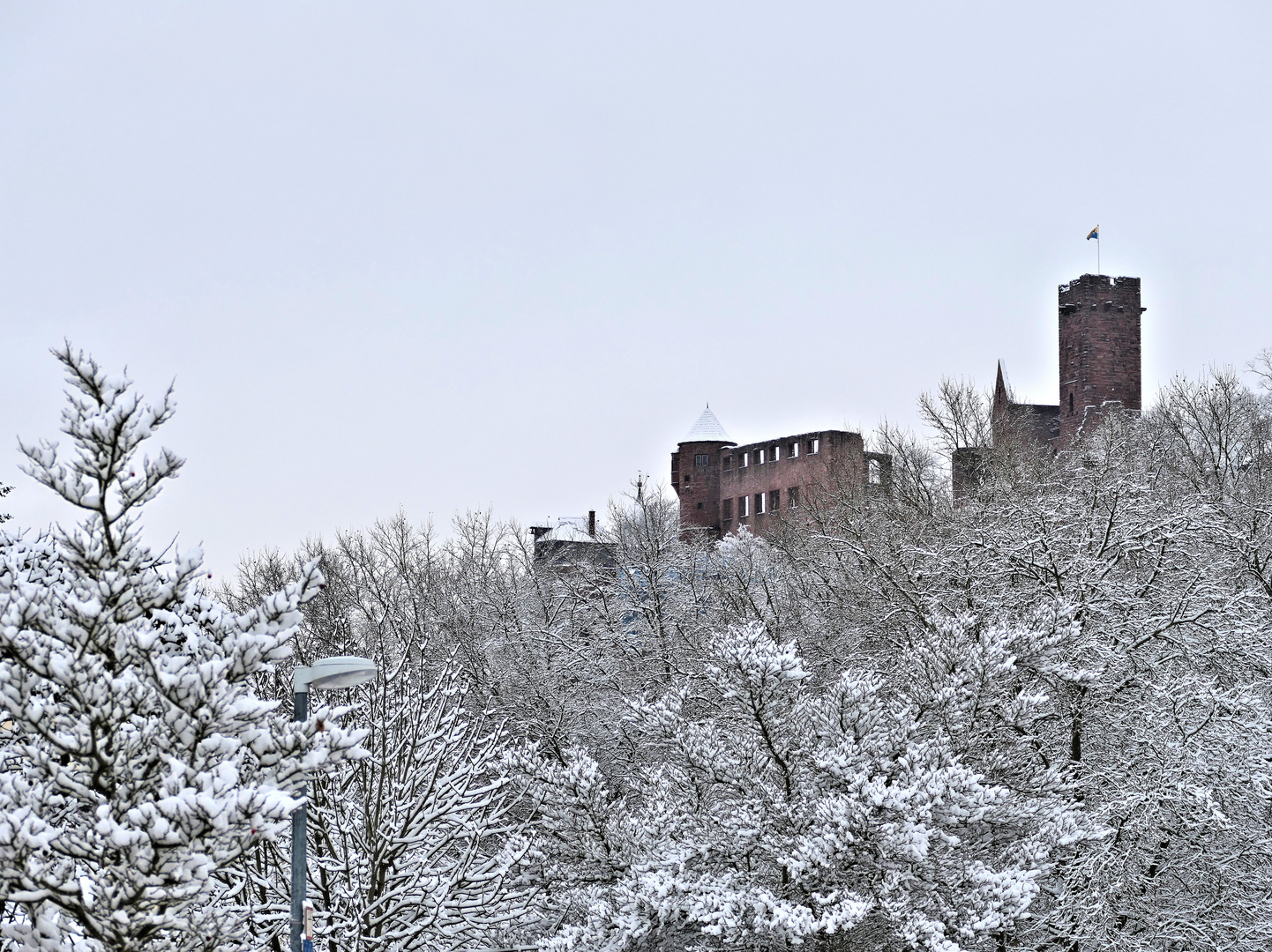 Wertheimer Burg mit Winter umgeben !