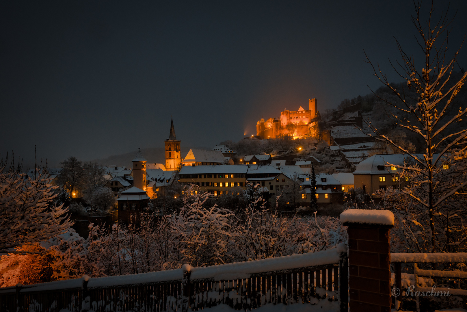 WERTHEIMER WINTERPANORAMA