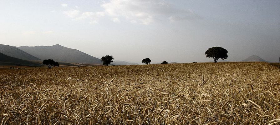 Wertvoller als Gold.