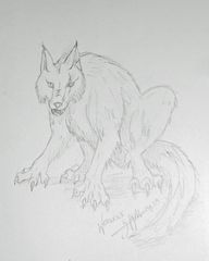 Werwolf