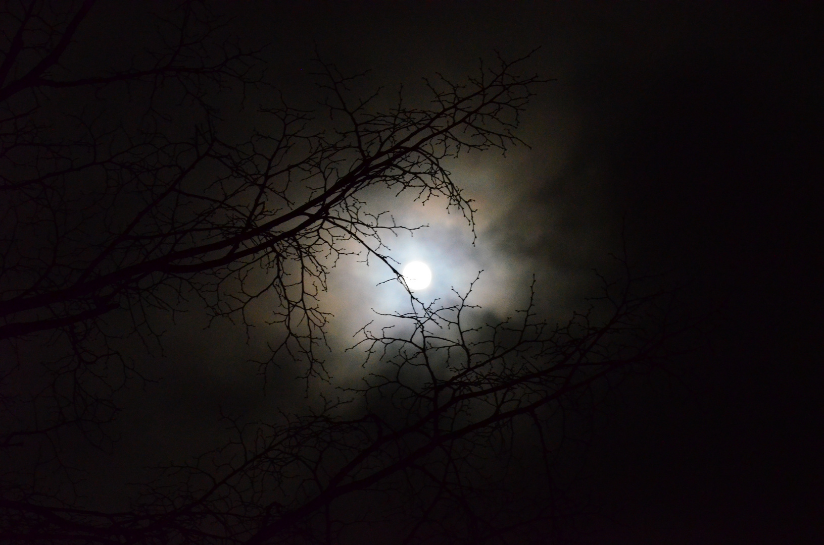 Werwolf Mond