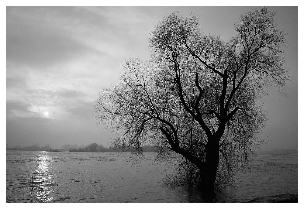 Wesel am Rhein 28.01.2012