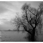 Wesel am Rhein 28.01.2012