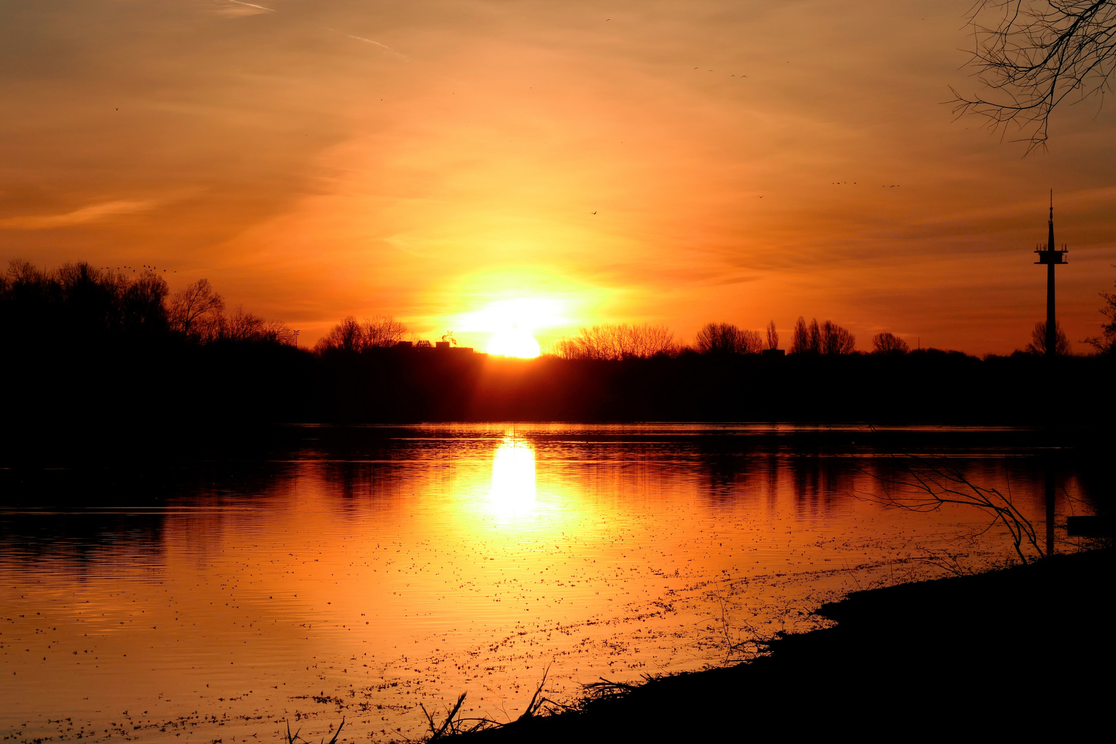 Wesel Auesee Sonnenaufgang