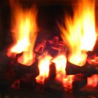 Wesen im Feuer