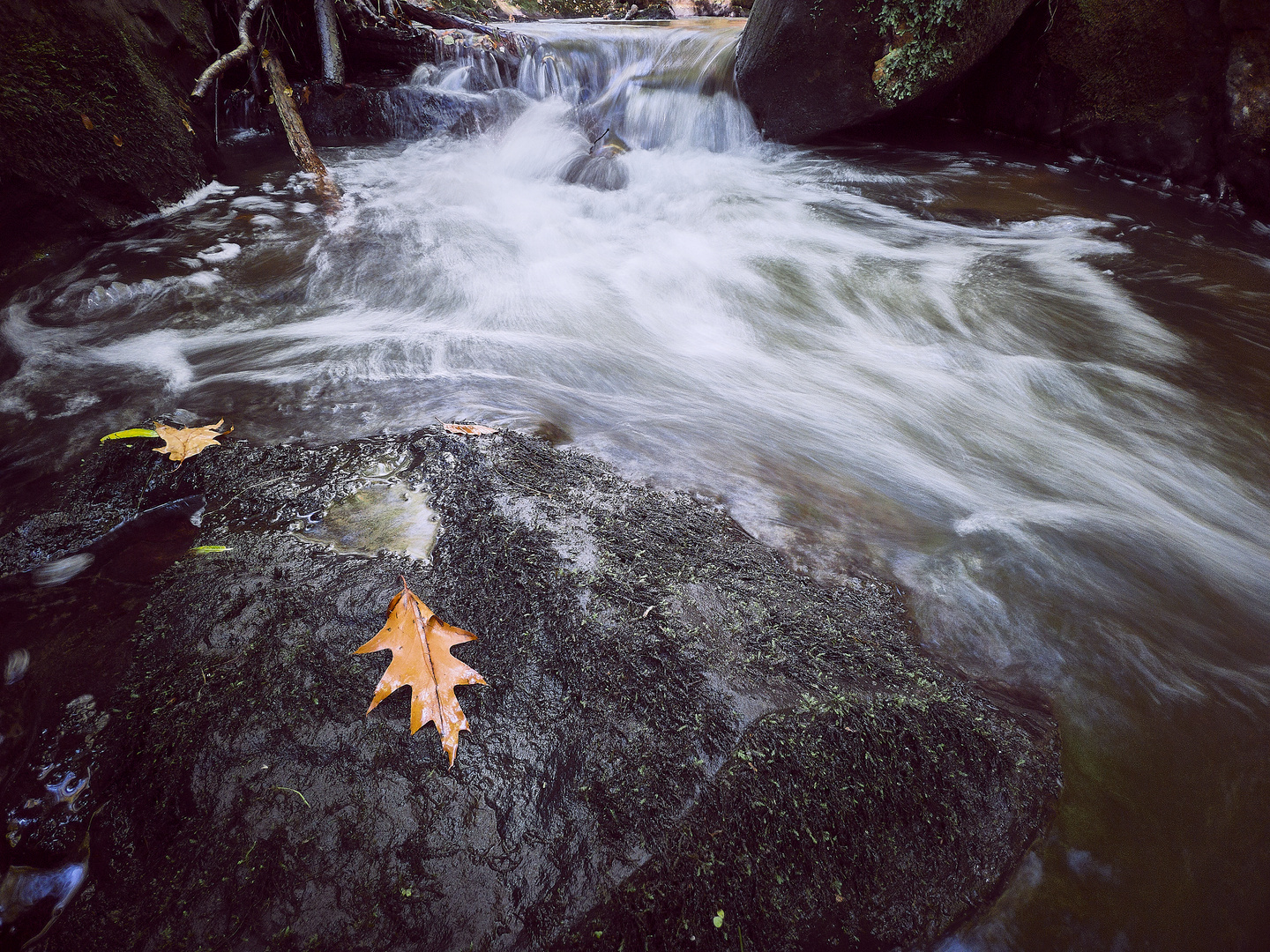 Wesenitz-Herbst