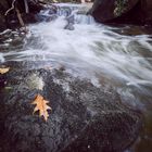 Wesenitz-Herbst