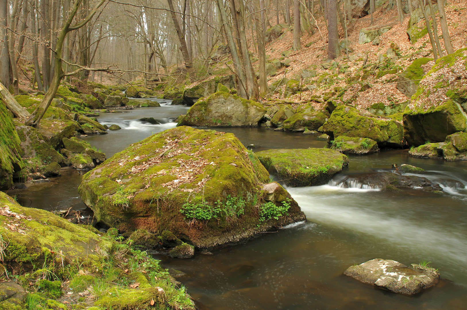 Wesenitztal (2)