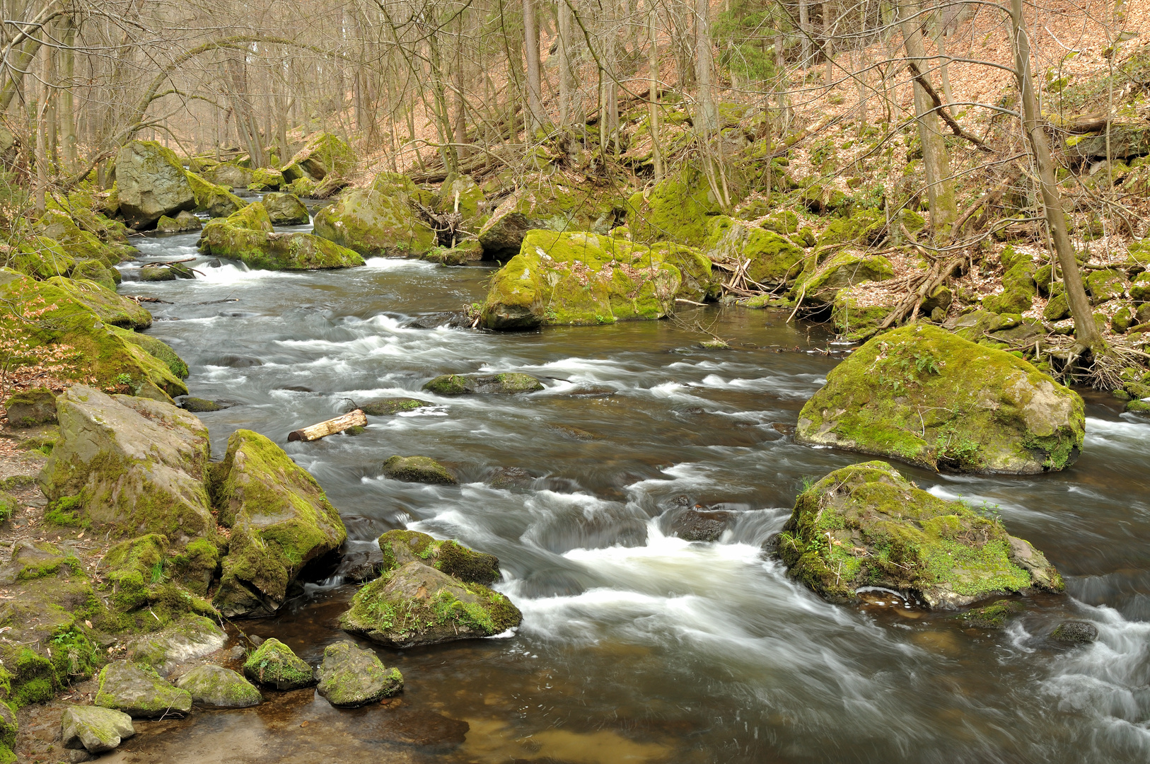 Wesenitztal im zeitigen Frühjahr