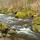 Wesenitztal im zeitigen Frühjahr