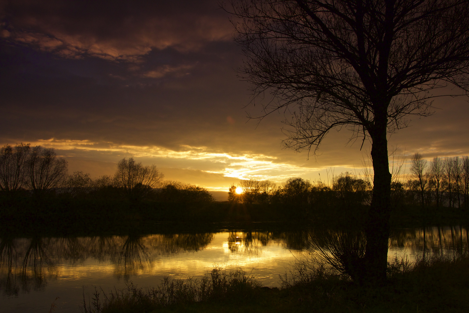 Weser