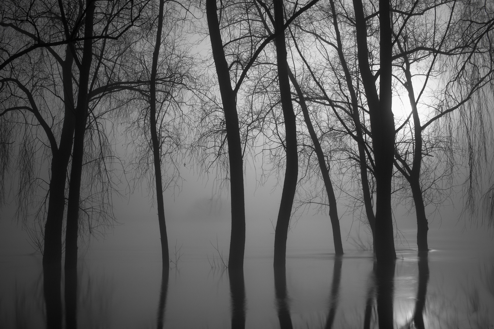 Weser im Nebel