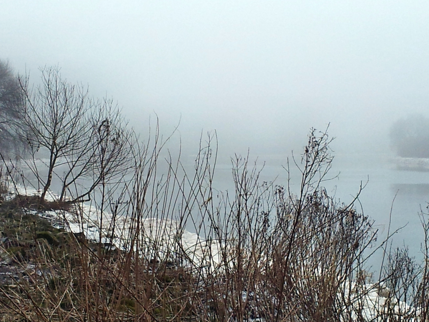 Weser im Nebel