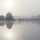 Weser im Nebel