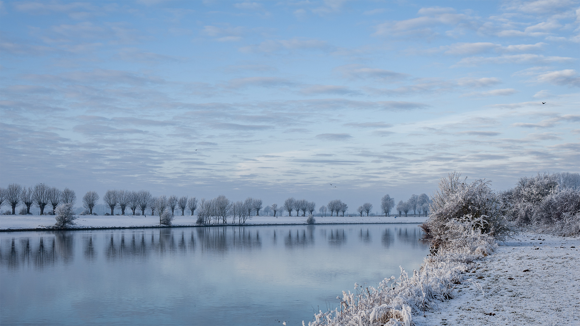 Weser im Winter