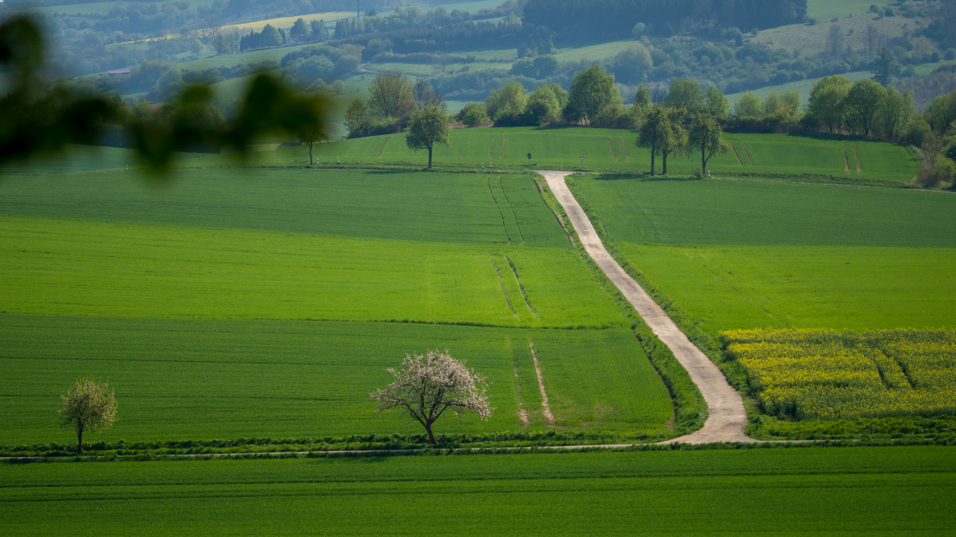 Weserbergland im Frühling