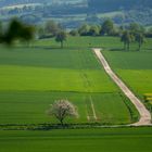 Weserbergland im Frühling