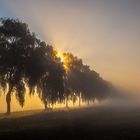 Weserbergland im Nebel