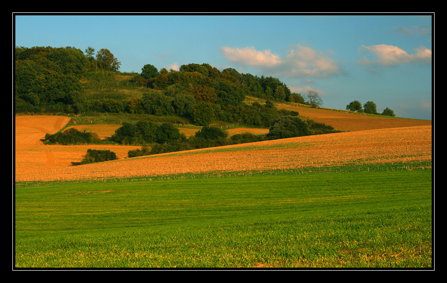 Weserberglandschaft in der Abendsonne