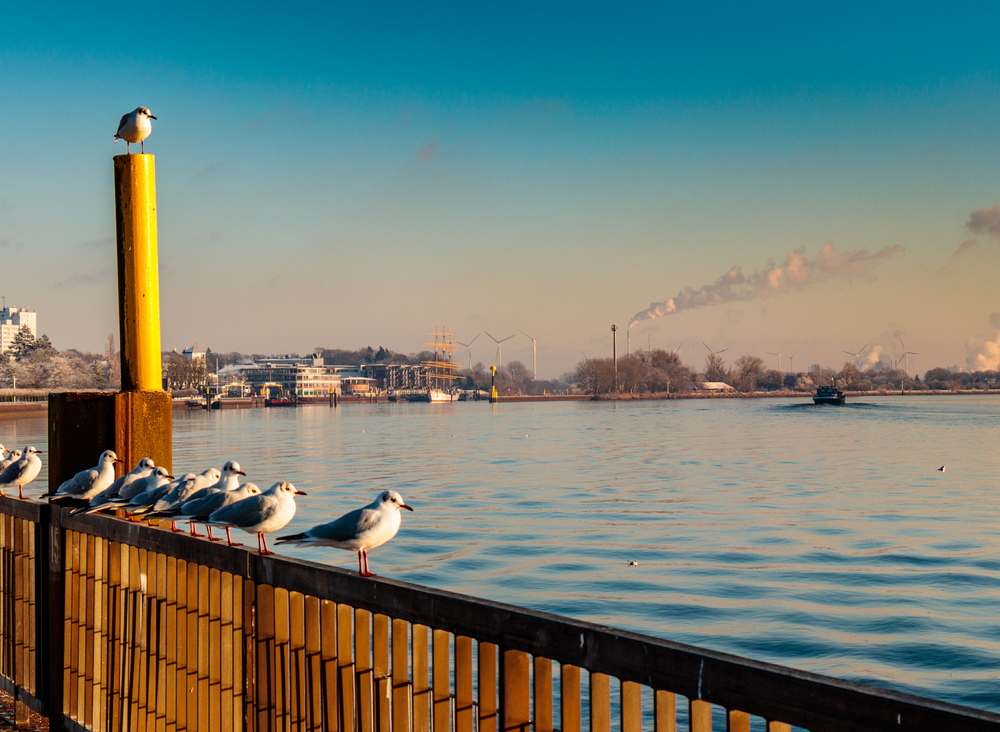 Weserblick in Vegesack