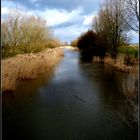 Weserinsel Harriersand