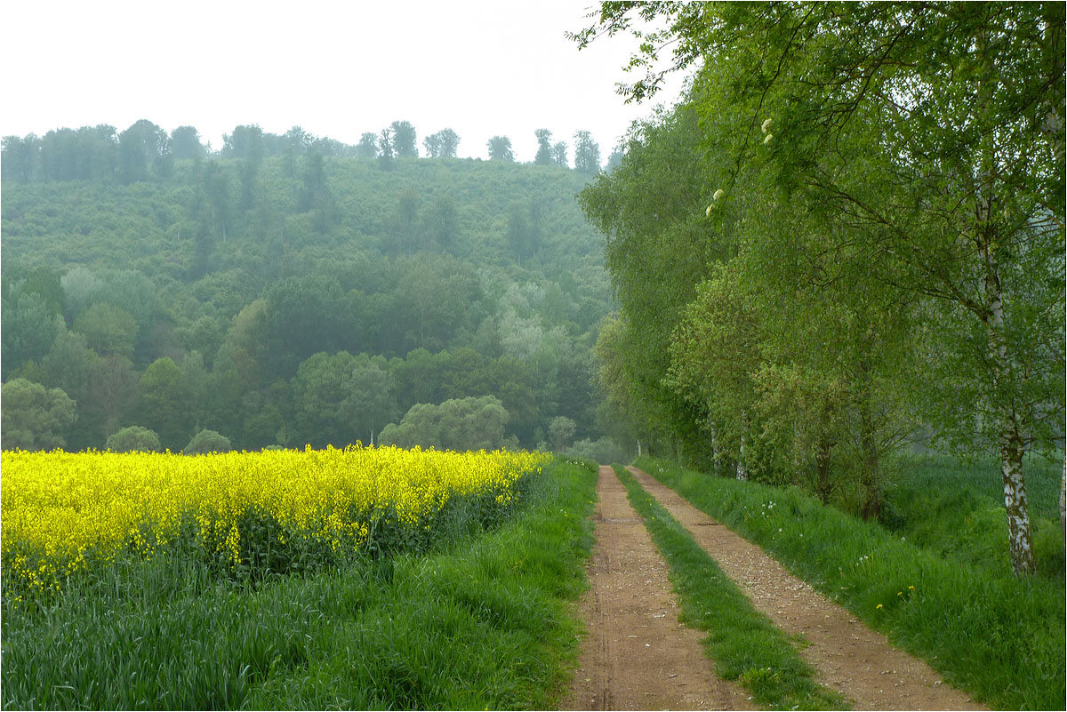 Weserradweg...