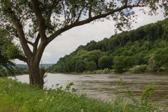 Weserradweg bei Hameln I