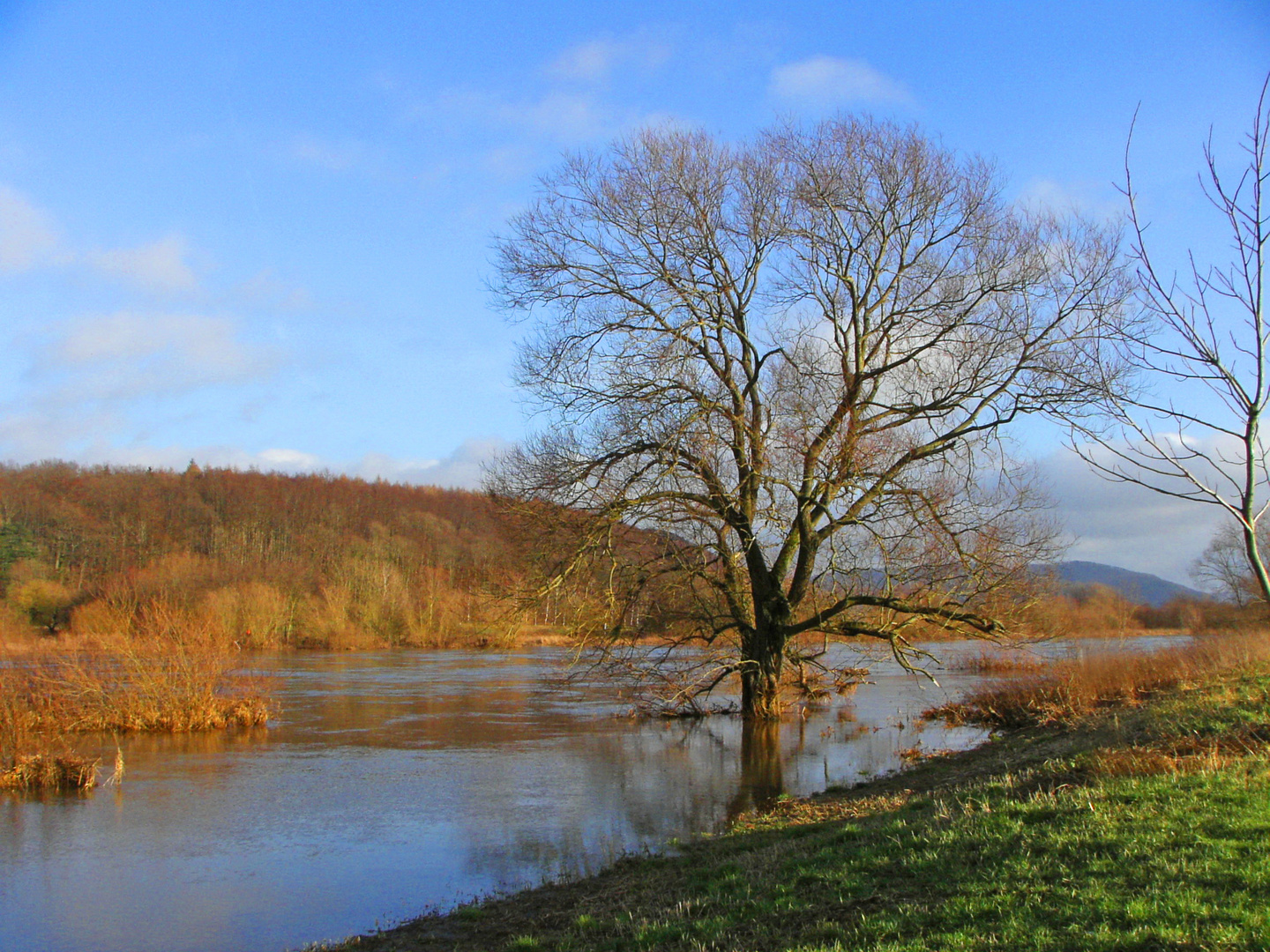 Weserradweg bei Hochwasser