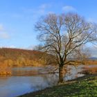 Weserradweg bei Hochwasser