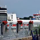 Weserschifffahrt bei Berne D72_7609 