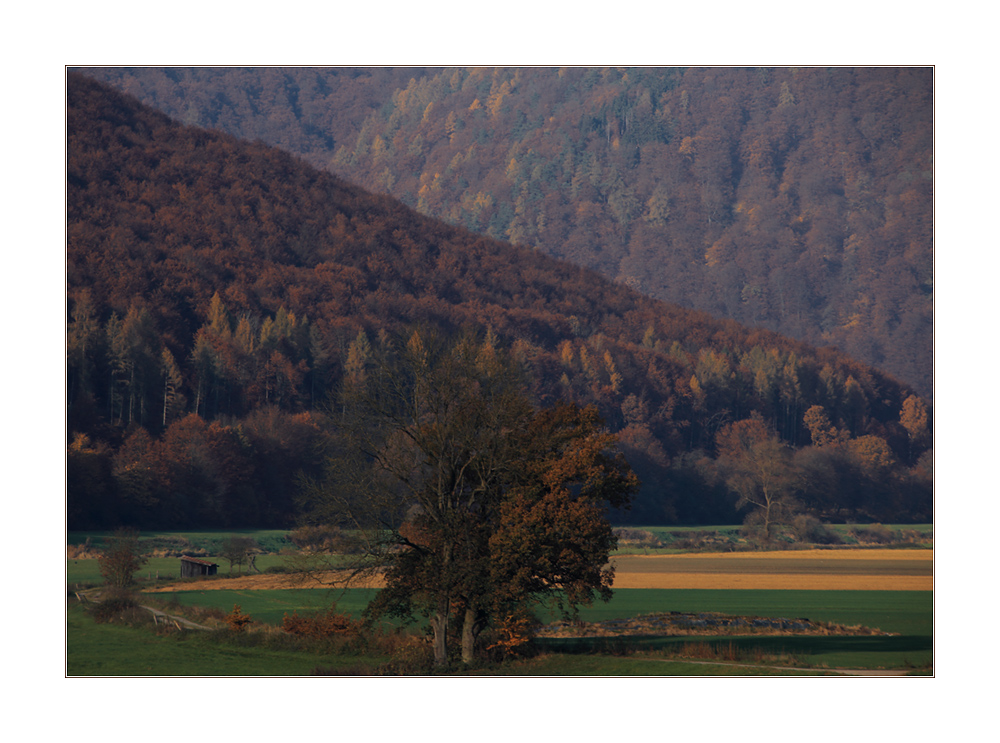 Weserschleifen am herbstlichen Reinhardswald...