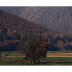 Weserschleifen am herbstlichen Reinhardswald...