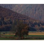 Weserschleifen am herbstlichen Reinhardswald...