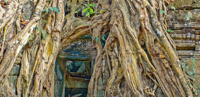 Weshalb fühle ich mich beobachtet?