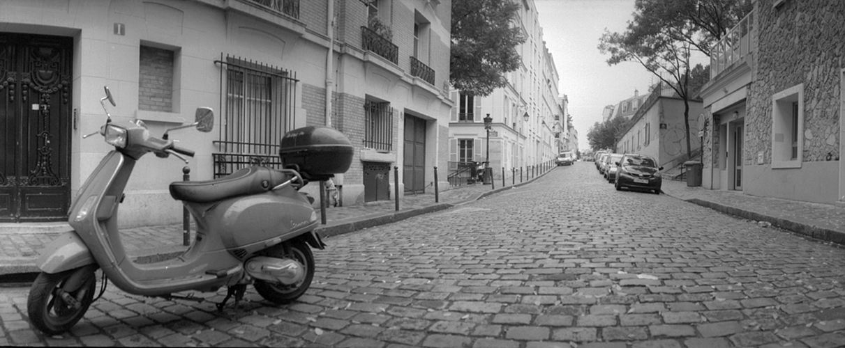 Wespe in Paris