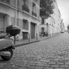 Wespe in Paris