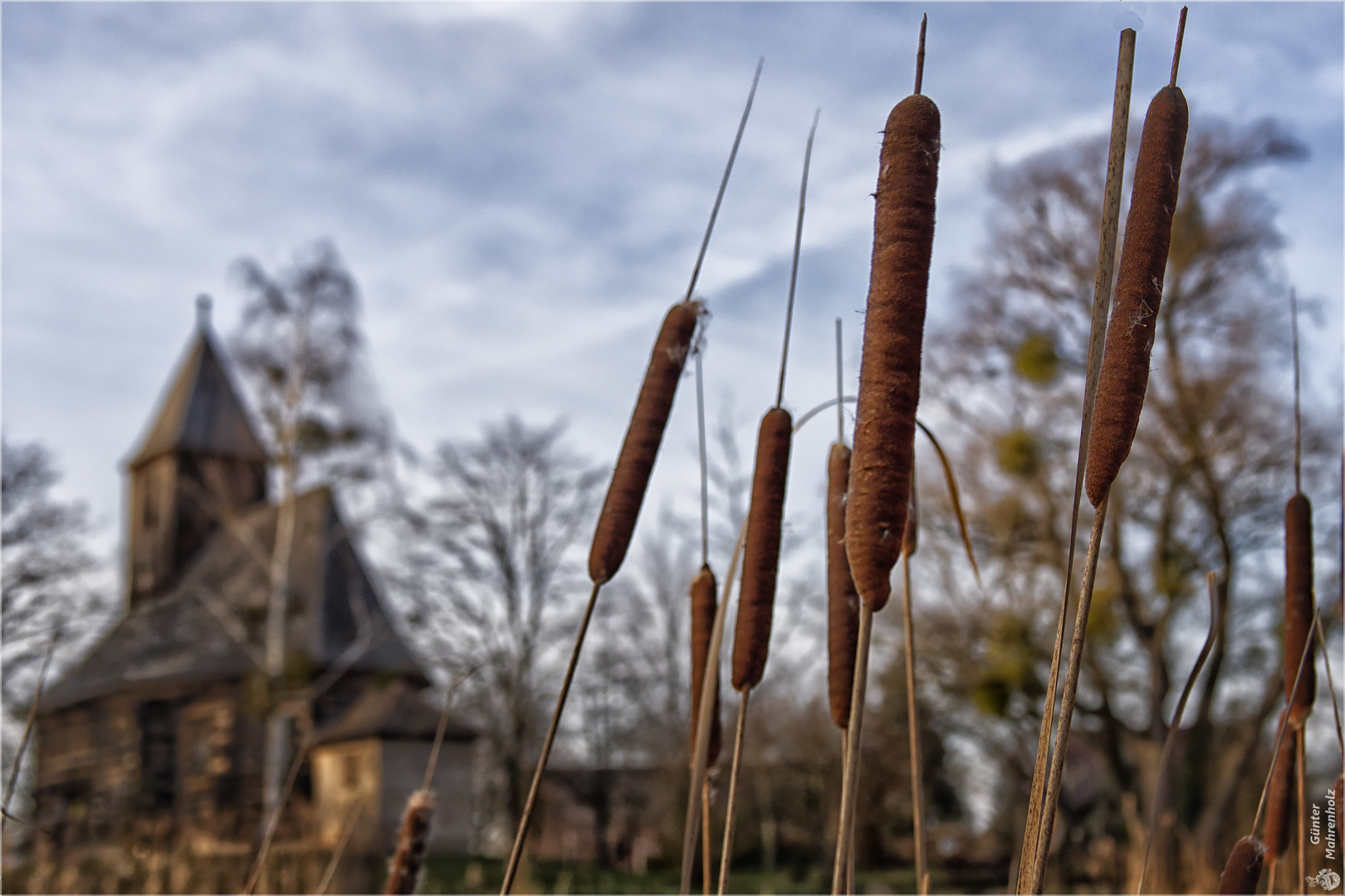 Wespen, Am Dorfteich