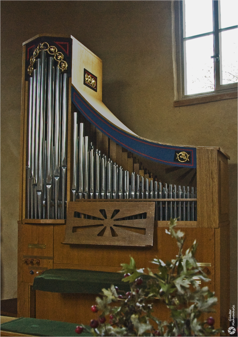 Wespen, Kleine Orgel