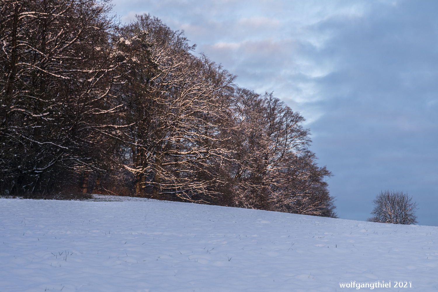 Wesselberger Tal im Winter 03