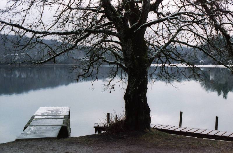 weßlinger see