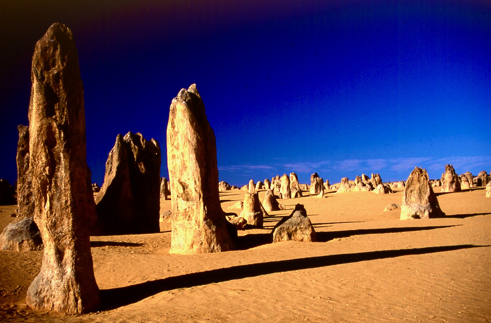 West-Australien: Pinnacles im Nambung Nationalpark