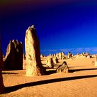 West-Australien: Pinnacles im Nambung Nationalpark