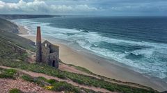 west coast wheal003_