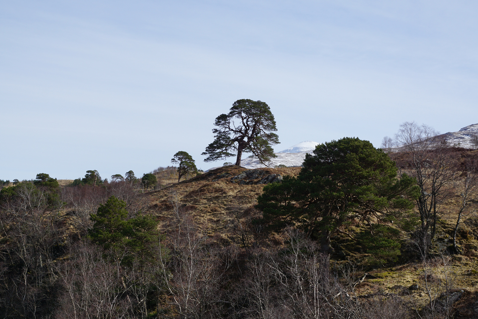 West Highland Way - Ausblick