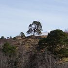 West Highland Way - Ausblick