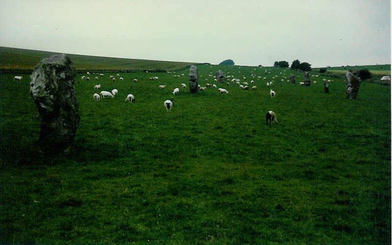 West Kennet Avenue, bei Avebury