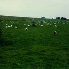 West Kennet Avenue, bei Avebury