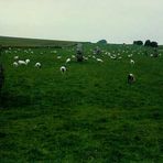 West Kennet Avenue, bei Avebury