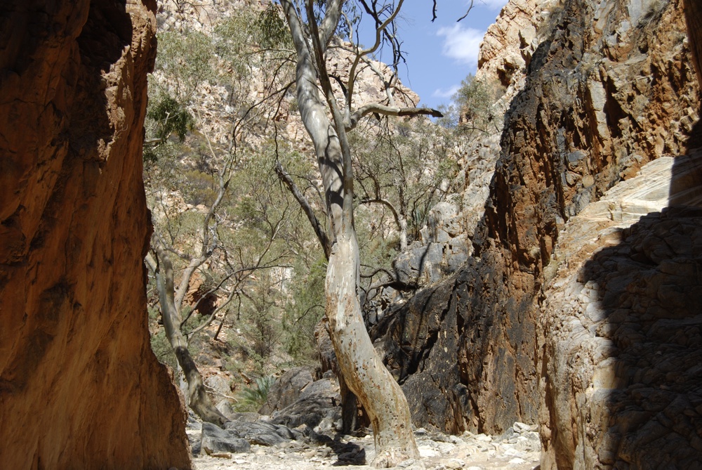 West MacDonnell Ranges