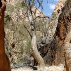 West MacDonnell Ranges